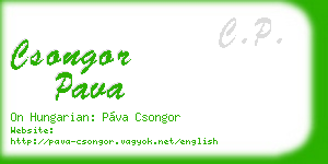 csongor pava business card
