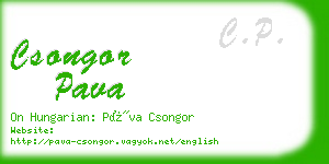 csongor pava business card